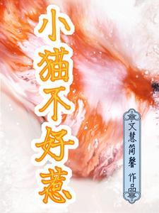 甜妻甜蜜蜜总裁老公宠上瘾全文免费阅读